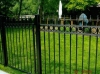 Aluminum Custom Fence, Gates, with Spears and Rings, Royal Oak