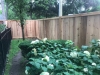 Cedar custom fence 2
